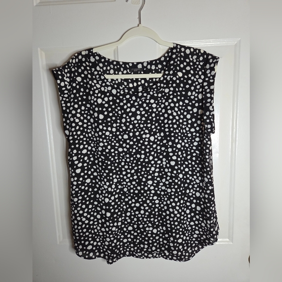 Ann Taylor Tops - ANN TAYLOR Cap Sleeve Polka Dot Top  Women’s Size Large Petite NWT